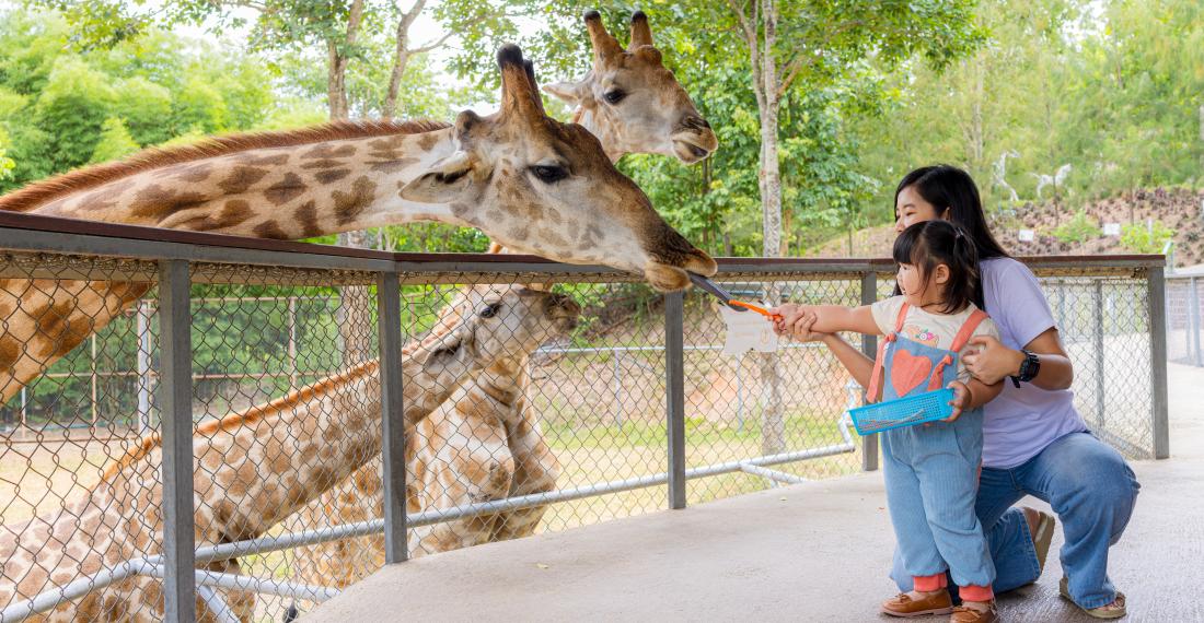 Zoo